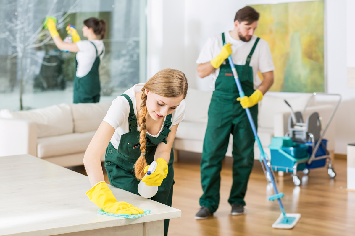 Order in Chaos The Essential Role of Housekeepers in Busy Homes
