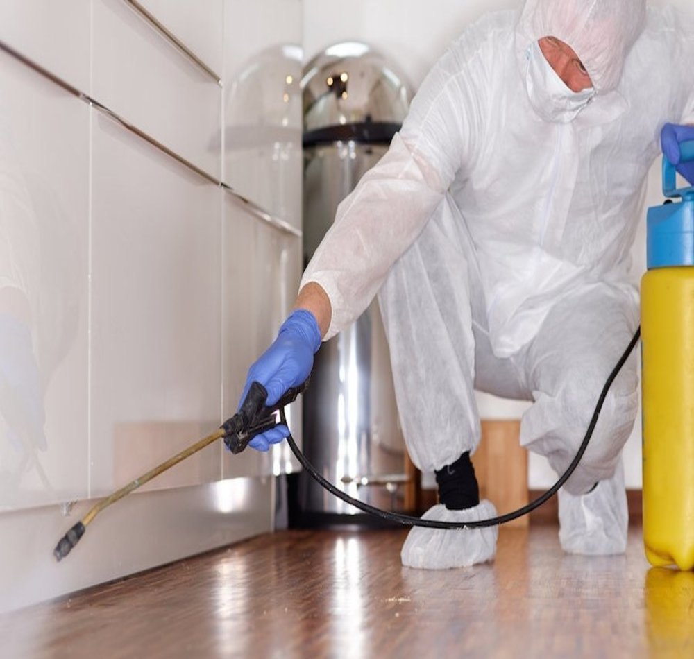 The Science Behind Effective Pest Control Services