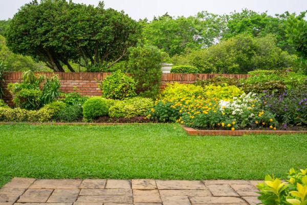 Choosing the Right Plants for Your Chicago Landscape